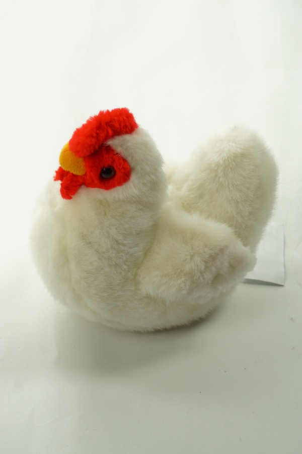 Kura biała - BRAK METKI Z NAZWĄ PRODUCENTA zdjęcie 1