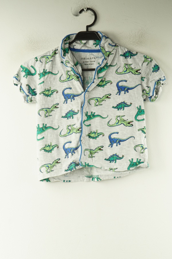 Koszulka piżamowa szara w dinozaury - PRIMARK zdjęcie 1
