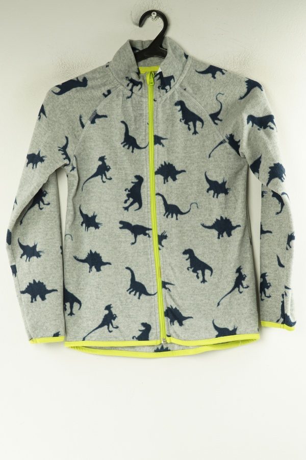 Bluza szara w dinozaury - H&M zdjęcie 1