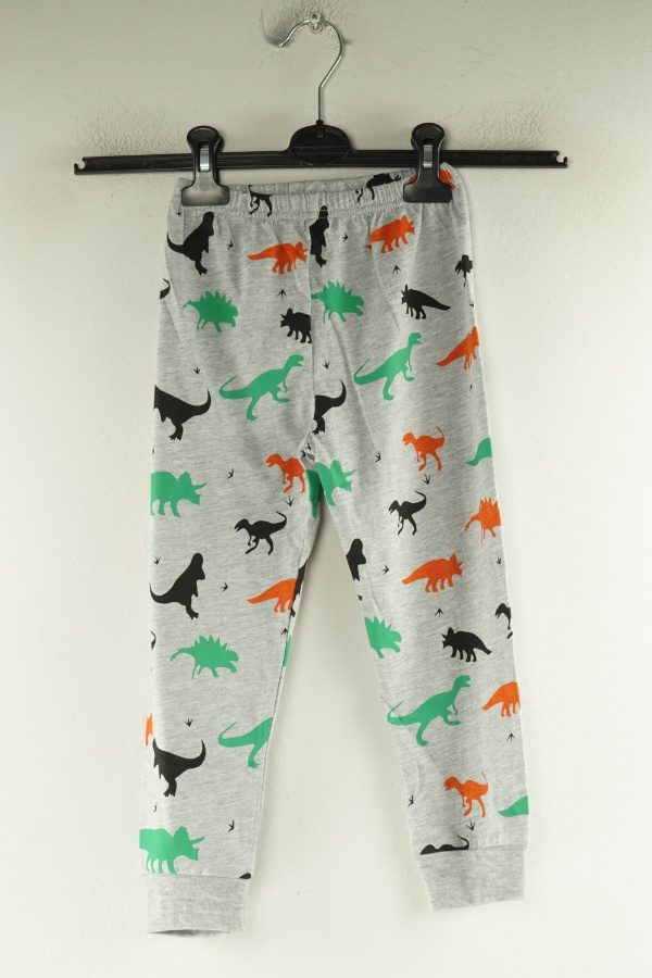 Spodnie szare w dinozaury - BRAK METKI Z NAZWĄ PRODUCENTA zdjęcie 1