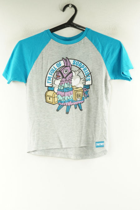 Koszulka szaro-niebieska nadruk
