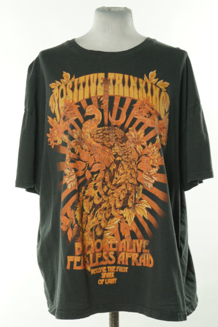 Koszulka szara, BERSHKA