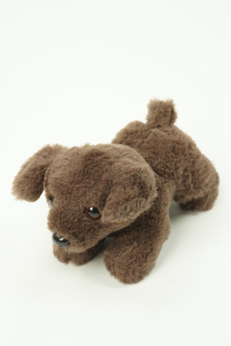 Maskotka pies czekoladowy