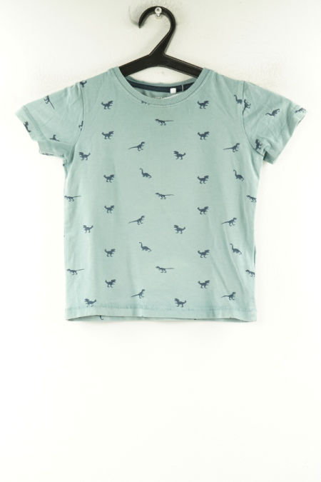 Koszulka szara w dinozaury