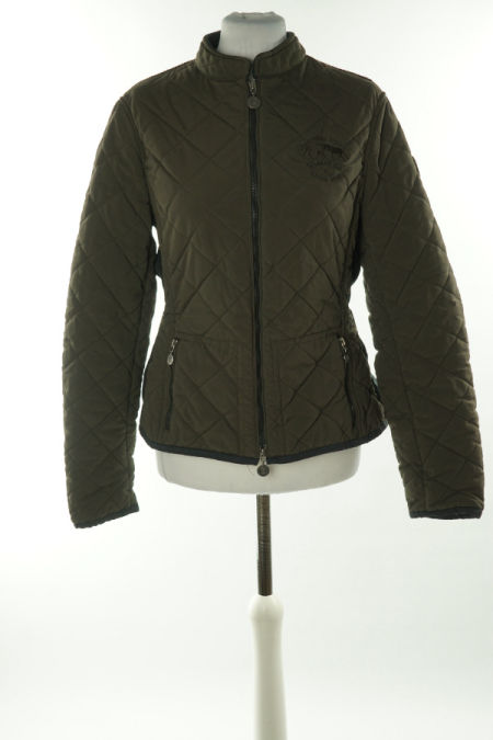 Kutka brązowa pikowana